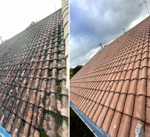Avant / Après Nettoyage de toiture à Montbeton